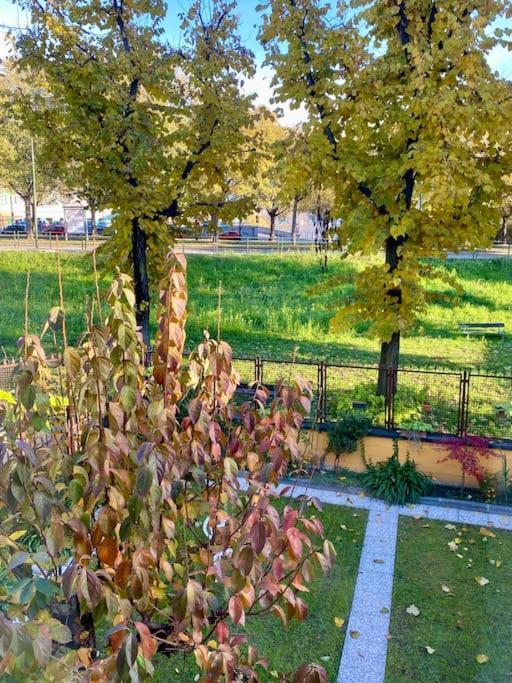 La Casetta Nel In Citta * Torino